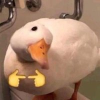 un_pato_infiltrado (@soy_un_pato0) 's Twitter Profile