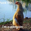 Simon Schiller - @sschillerdude - Twitter