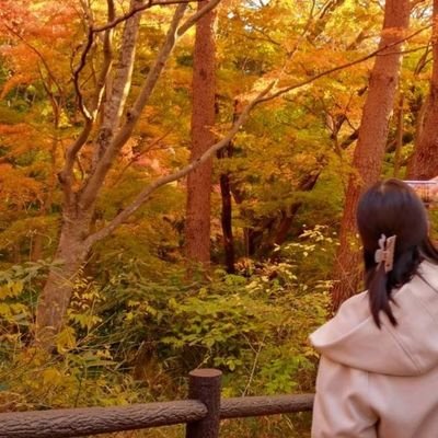 いおりの さかです。小説などを書きます。✤エッセイ集『書くしか。』に『どうか読んでね』掲載✤第二回GOAT×https://t.co/LqVbbKOztV文学賞最終候補作『未来』✤9月20日ZINEフェス仙台参加✤作品等のリンクは下記🔗HPにて。
2025年の抱負:小説から逃げない。作品にピリオドを打つ。締め切りを守る。