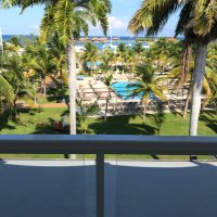 nancy d (@nancyd9) 's Twitter Profile Photo