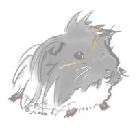 やかん (@_ya_kan) 's Twitter Profile