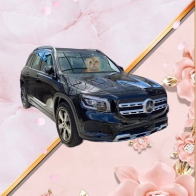 kuukei0321's profile picture. 2018年10月3日生まれのくー♂スコティッシュフォールド🐈アイコン@marotrain作🤍くー乗ってます🫶🏻クリックしてみて/愛車🚗ベンツGLB /スプラしてます🎮/猫、車、お花が好き♡