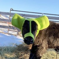 suresting park (@sureshicpark) 's Twitter Profile
