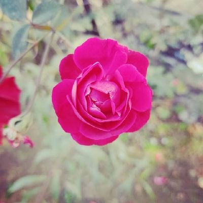 sktechnology30's profile picture. 