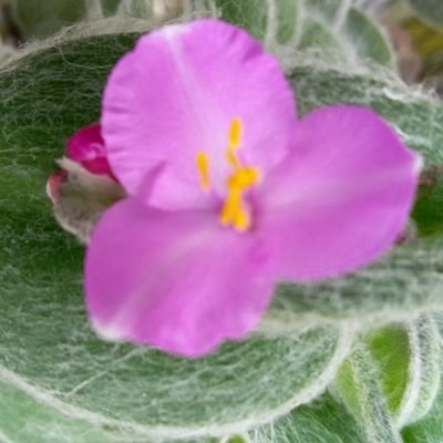 teonensui's profile picture. 趣味はギターを弾いたり、オーケストラを聞く、書写が好き🩷
家庭連合の信徒です。