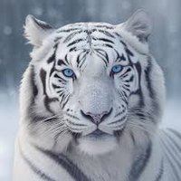 Hitesh Nath (@hitesh94nath) 's Twitter Profile