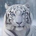 Hitesh Nath (@hitesh94nath) Twitter profile photo Hitesh Nath (@hitesh94nath) Twitter profile photo