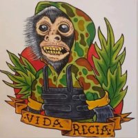 Training Datum (@bavanzar) 's Twitter Profile