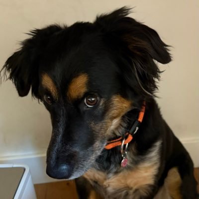 muttavius's profile picture. Seriosity is not a word. But it should be. CPA, curmudgeon. I’m anti-bullshit.