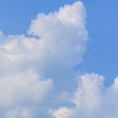 yul1795050's profile picture. 모든 일에는 순서가 있어. 의미가 있어. 생각을 하고, 그리고 말을 하는 거야.                                                                                     https://t.co/iX4vxUDzvs