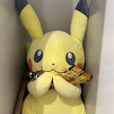 我が家に集まったたくさんのピカチュウと彼らの保護者おまつのおでかけ&ごちそうアカウント。飽きるまで頑張って色々載せます。