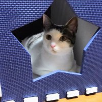 わかめ (@e8bcmjfrx793591) 's Twitter Profile