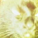 Crystal Kendall - @crystaalze - Twitter