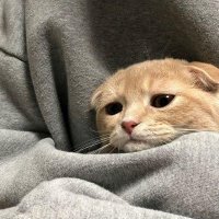 π (@mikeeyyyszn12) 's Twitter Profile