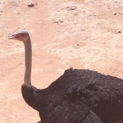 partypolle490's profile picture. 