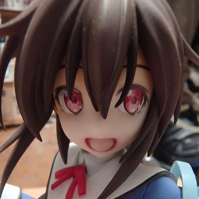 フィギュア交換アカウト@基本的にヤフオク、メルカリ、ペイペイフリマさんのプロフィール画像