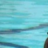 広い世界に青い海さんのプロフィール画像