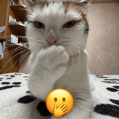 halluisreal's profile picture. trying to be a better person tapi blunder dikit🙏