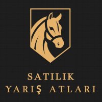 Satılık Yarış Atları (@satilikyarsati) Twitter profile photo