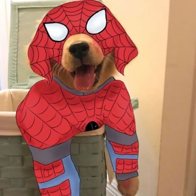 spiderkwong's profile picture. LLK & ORMKORN