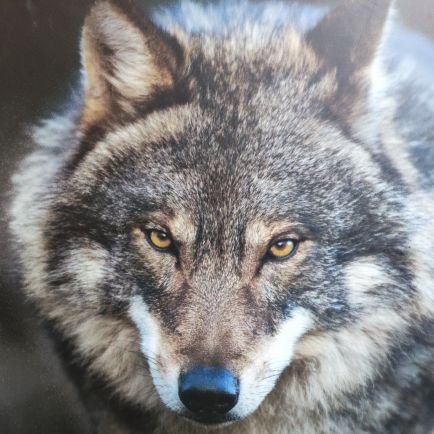 san58959's profile picture. 