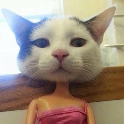 veronicaknope's profile picture. batının iyi yanları