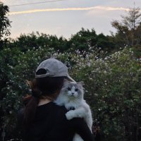 Itstra (@itstra_) 's Twitter Profile