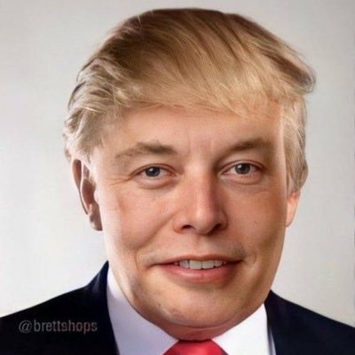 Donald Musk Profile