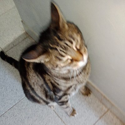 PoPmaniac4ever's profile picture. 