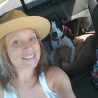 Kathy Miles (@kmiles46212) 's Twitter Profile