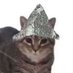 Hehehe (@tranqui27484099) Twitter profile photo Hehehe (@tranqui27484099) Twitter profile photo