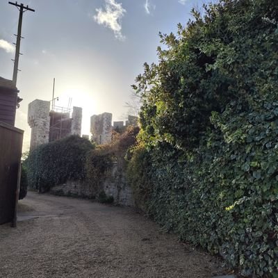 TonyT0nes's profile picture. Arsenal 🔴
When 🇮🇪 meets 🇵🇭