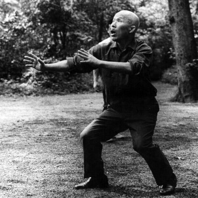 The Taikiken pages are dedicated to Taikiken master Kenichi Sawai. Yiquan, Taijiquan, Qigong, Hachidankin, Ritsuzen, Mindfulness, Kyokushin, MMA and Kickboxing.