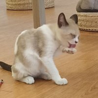 KZ (@updatewiz) Twitter profile photo