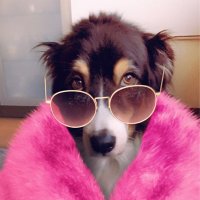 LeroyNifty (@lnifty99388) 's Twitter Profile