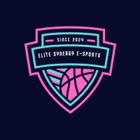 Elite Synergy E-Sports Team (@ellitesynergy2k) 's Twitter Profile