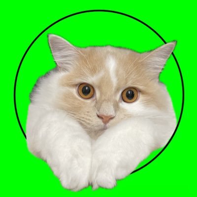 watanbonney's profile picture. 9弾からワンピカスタート！緑紫ルフィでエリア完走🏃‍♂️フラシ入賞×8（🥈×1）非公認🥇×1🥈×2/一級建築士🏠猫2匹🐈#上振れたい