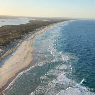 zanghongjiao's profile picture. freedom