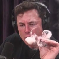 $HIGH AF | Solana Meme (@highafcoins) 's Twitter Profile