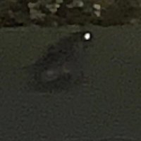 parasect (@parasect117) 's Twitter Profile