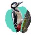 EverForest (@everforest_com) Twitter profile photo EverForest (@everforest_com) Twitter profile photo