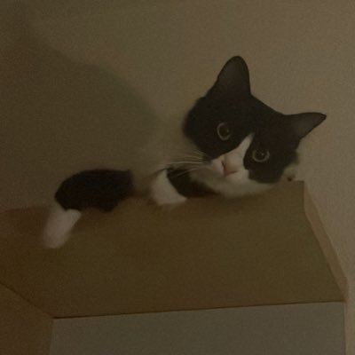 lucazepam's profile picture. Liberal en lo económico, pringado en lo social.