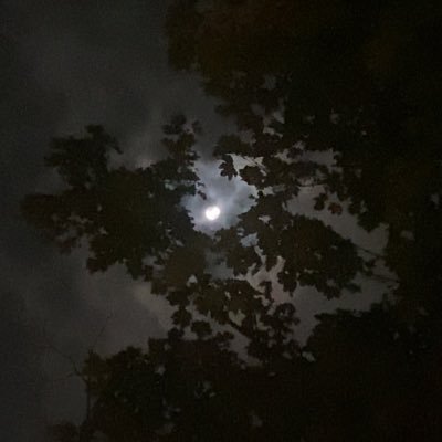 lucoabest's profile picture. 19