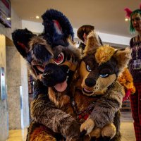 Rusty (@oxidiseddingo) 's Twitter Profile