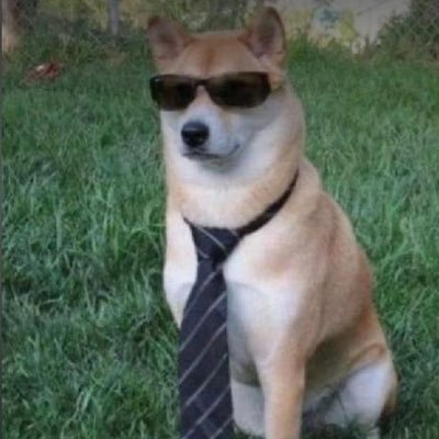 Xianyings25's profile picture. 