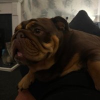 Robert Locking (@_robontheroad_) 's Twitter Profile Photo Robert Locking (@_robontheroad_) 's Twitter Profile Photo
