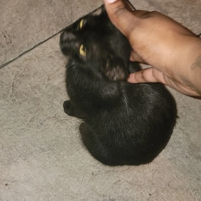 bowend88's profile picture. Be who you are and do what makes you happy!  Never do anything you'll regret.