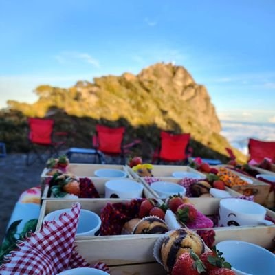 🍃Tour information-Eco adventure-Sustainable travel and accommodations-🍀hiking-bird watching-coffee tours-extreme Sports🍃
https://t.co/Ic9lWJn9JF