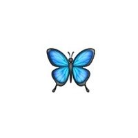 💙🦋 (@emeicen) 's Twitter Profile