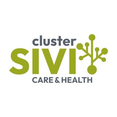 Cluster Soluciones Innovadoras para la Vida Independiente: Personas con Discapacidad, Personas Mayores y Enfermos Crónicos